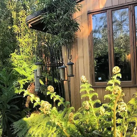Jungle Cabin Martin Mill Exterior photo