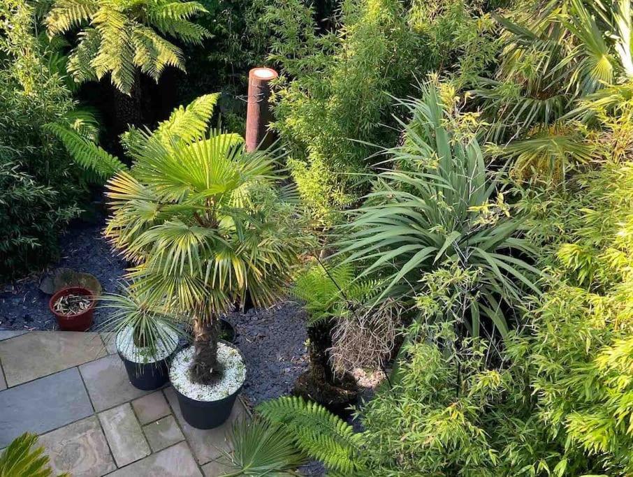 Вилла Jungle