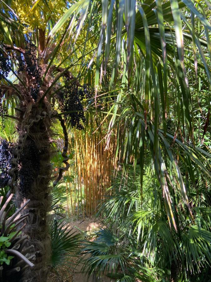 Вилла Jungle *