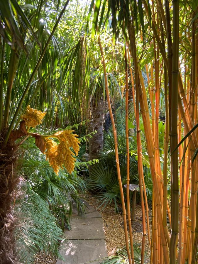 Jungle Martin Mill