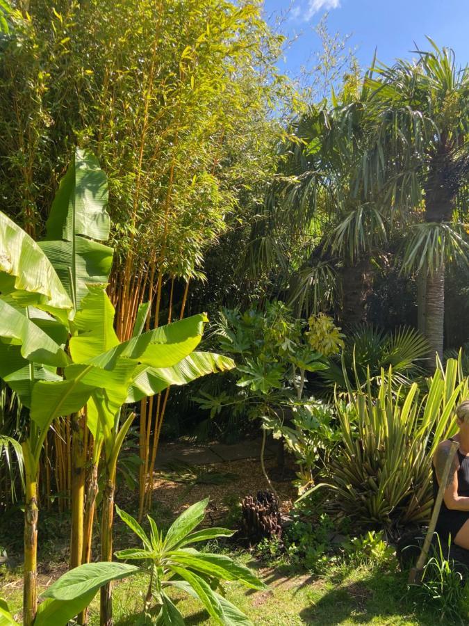 Вилла Jungle Martin Mill