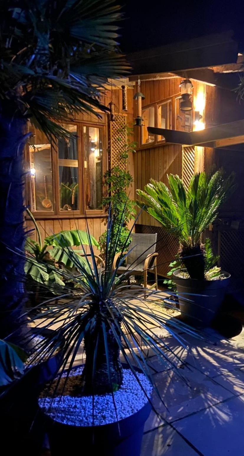 Jungle * Martin Mill