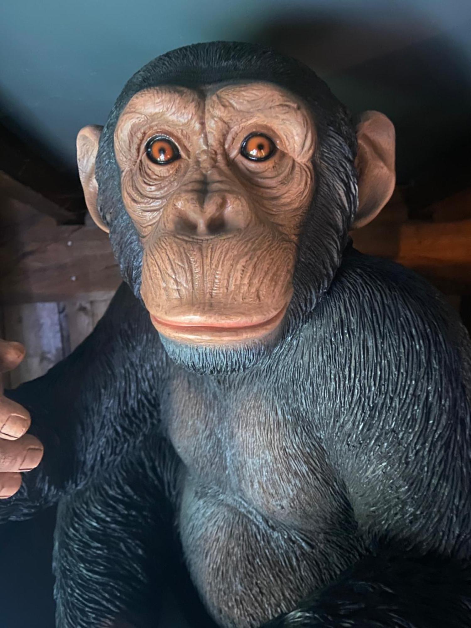 Jungle Вилла *